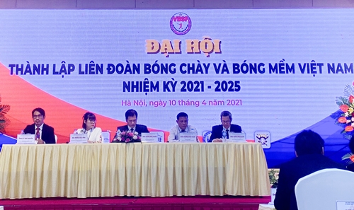 Thành lập Liên đoàn Bóng chày và Bóng mềm Việt Nam 